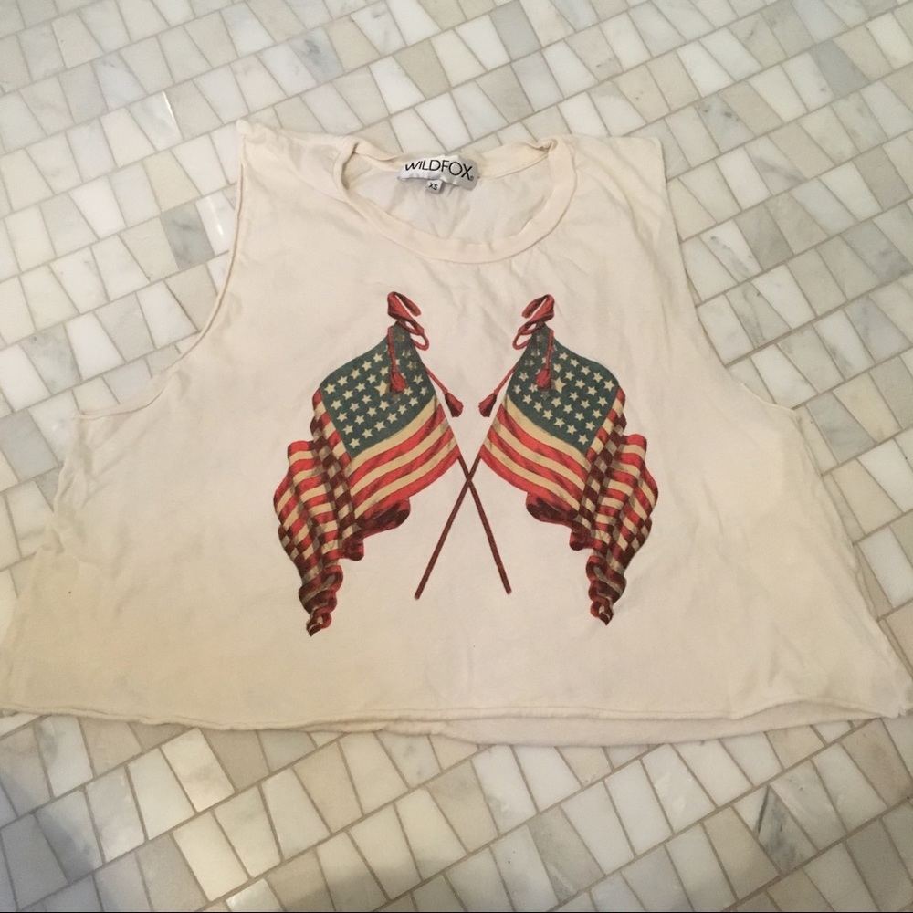 Wildfox crop american flag tee 🇺🇸